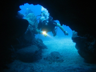 Los Gigantes Diving Center